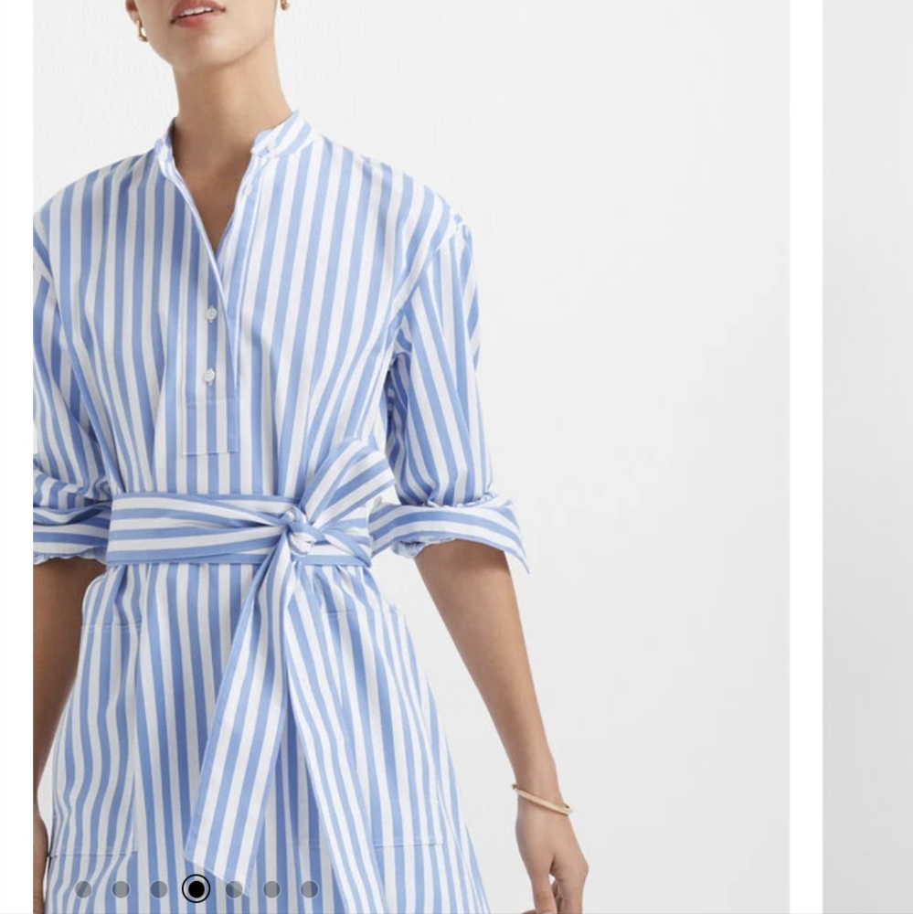 Club Monaco dress